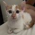 NebulaFi (@nebulafi) Twitter profile photo NebulaFi (@nebulafi) Twitter profile photo