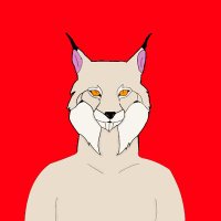 rare-linces (@nftlinces) 's Twitter Profile