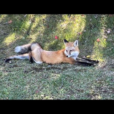 ChrisBagging's profile picture. 