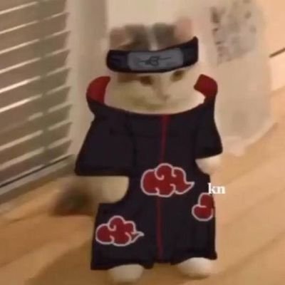 Shaquan3033's profile picture. Really?? Again???