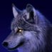Dark_Wings_fallen (@wingsofdarknes2) Twitter profile photo Dark_Wings_fallen (@wingsofdarknes2) Twitter profile photo