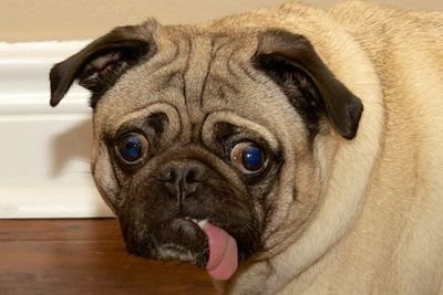 MRbunzBB's profile picture. MRbunz comin' at ya