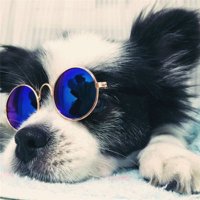 NavasDelta (@navitas_1) 's Twitter Profile