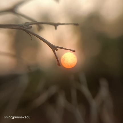 wieK4vDPpsPPHva's profile picture. Travel 
photography
 food
Instgram @shinojpunnekadu