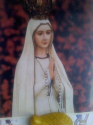 A true believer and follower of our Lord Jesus Christ. Love to pray the Rosary daily. Bible studying. Devoted Catholic.