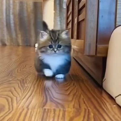 Hseyn89485453's profile picture. 