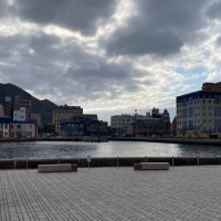 みるくまんじゅう (@kinkolll) Twitter profile photo