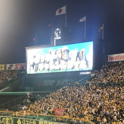npkoZgi8P093gAb's profile picture. 阪神タイガース プロ野球