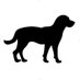 Downhound (@downhounder) Twitter profile photo Downhound (@downhounder) Twitter profile photo