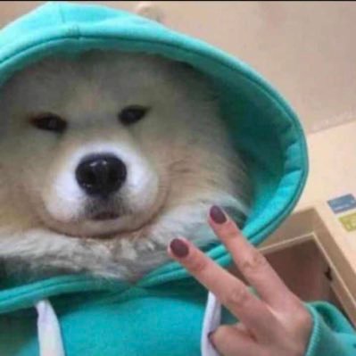 DML050's profile picture. Single mf🙂