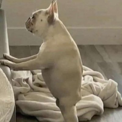 tweetskizz's profile picture. 