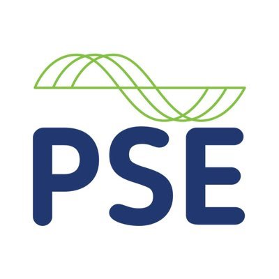 Established in 1985 (38 + years), PSE Power is Ireland’s premier supplier of UPS, Battery Energy Storage & Generators 🇮🇪 🌿
