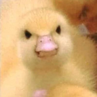i got banned again.