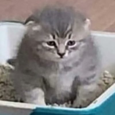 PDOBudni's profile picture. Будни педагога-организатора, вам на потеху