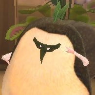 멜🌱さんのプロフィール画像
