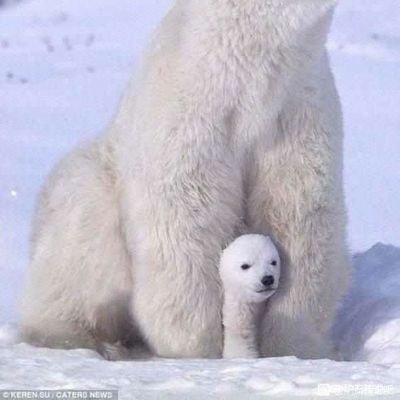 zhaogeyexian8's profile picture. 