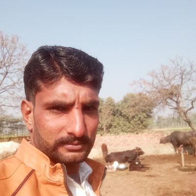 Jutt80566459's profile picture. Bajwa