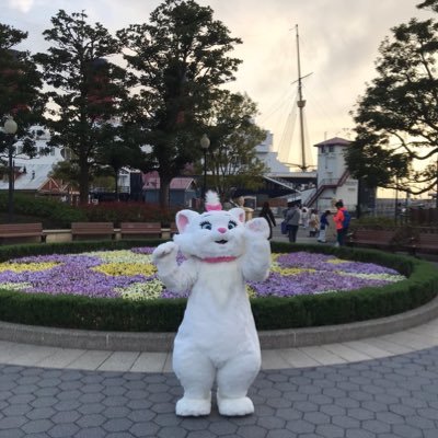 sss_yuka_od's profile picture. 03起立性調節障害（体位性頻脈症候群）、パニック障害、うつ病（適応障害）、ASD、IBS、摂食障害、月経困難症、慢性的蕁麻疹、同じ病気の方と繋がりたいです🤍infj-t hsp