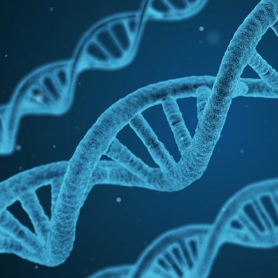 SoniaJa59405904's profile picture. Healthcare and Medical Devices