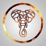 Mitch "ElephanT" Rahn | AE (@elephant_cs2) 's Twitter Profile