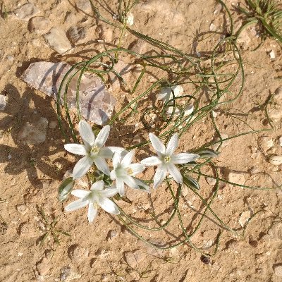 Marielal_76's profile picture. 