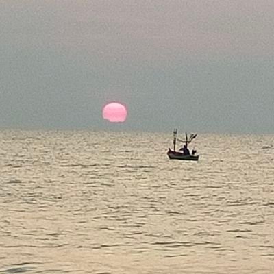 Saruda79146364's profile picture. 🍀🦋🌝🌞🦁🐱//🌺🥀💓