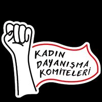 Seyran Kadın Dayanışma Komitesi(@seyrankdk) 's Twitter Profile Photo