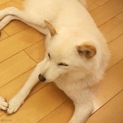 WhoIsTheFork's profile picture. 