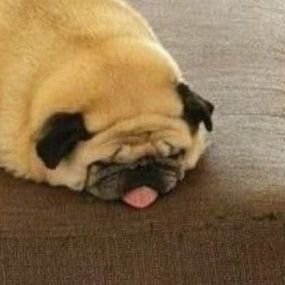 BbComet's profile picture. 