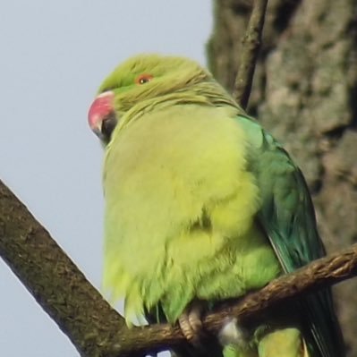 Lilo21408504's profile picture. just wandering