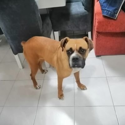 EdgarVa02583032's profile picture. 