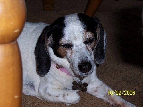 shuecker's profile picture. 