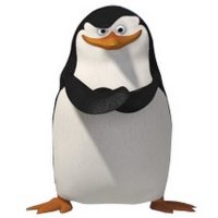 Daniel G. (@pinguino6631) 's Twitter Profile