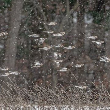 tarafdargozar's profile picture. بهشت زیر پای اون خانوم و آقاییه که به‌خاطر آینده‌ی بچه، قیدِ پدر و مادر شدن رو می‌زنه.. .🚬🚶‍♂️