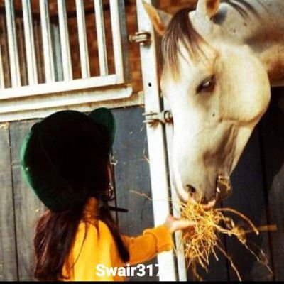 Swair317's profile picture. 