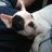 PatrickMaynard3's profile image