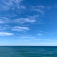 独占！中年男子の30分 (@dokusen30pun) 's Twitter Profile