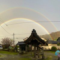 ともっち☀️なの (@tomosannano) 's Twitter Profile