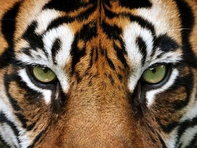 ReveronSantos's profile picture. Felicidad, fé y amor a la familia