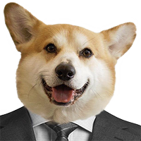 Pitiwazou 3D Freelancer (@pitiwazou) 's Twitter Profile Photo Pitiwazou 3D Freelancer (@pitiwazou) 's Twitter Profile Photo