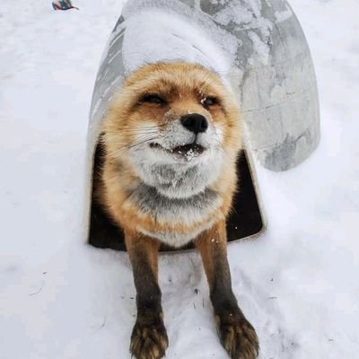 .さんのプロフィール画像