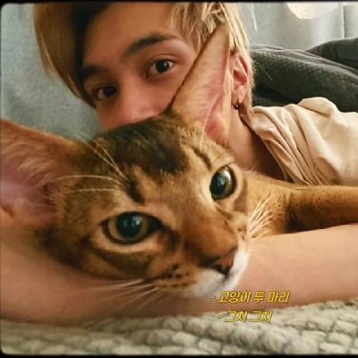 Joining account. Past acc: @luckybagofwonu_ || Not a multi, please don't reroll.