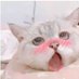 猫扑风铃 (@sexpuffs) Twitter profile photo 猫扑风铃 (@sexpuffs) Twitter profile photo