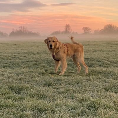 M_P_J_'s profile picture. gallowgate end, dad, NUFC. James fan.