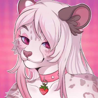 Kotta (18+)さんのプロフィール画像