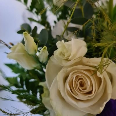 piffochfix's profile picture. 