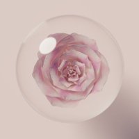 Unknow lover (@unknowstudiox) 's Twitter Profile Photo Unknow lover (@unknowstudiox) 's Twitter Profile Photo