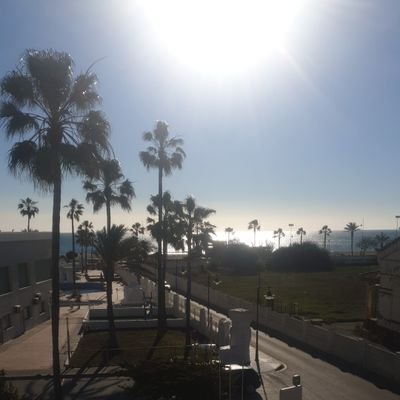 meta_william's profile picture. 