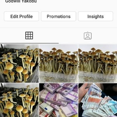 sell weed, shrooms,fake currencies, pills