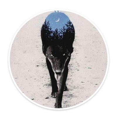 AnaVanesaSalas4's profile picture. 